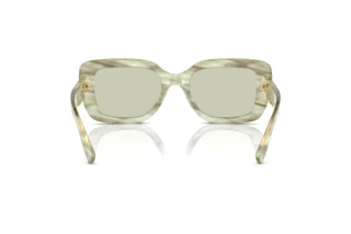 Vista posterior Ralph Lauren THE NIKKI (RL8217U - 6109/2)