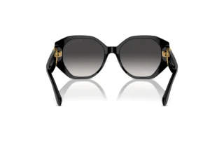 [glasses-back-view] Ralph Lauren THE JULIETTE (RL8220 - 50018G)
