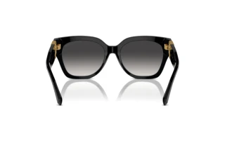 Vista posterior Ralph Lauren THE OVERSZED RICKY (RL8221 - 50018G)