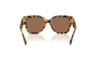 Vista posterior Ralph Lauren THE OVERSZED RICKY (RL8221 - 500473)