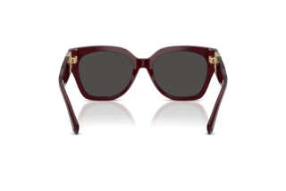 Vedere din spate Ralph Lauren THE OVERSZED RICKY (RL8221 - 508387)