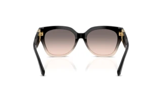 Vedere din spate Ralph Lauren THE OVERSZED RICKY (RL8221 - 60223B)