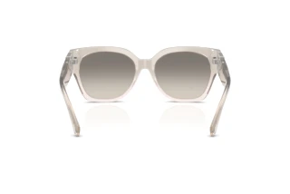 Vedere din spate Ralph Lauren THE OVERSZED RICKY (RL8221 - 611208)