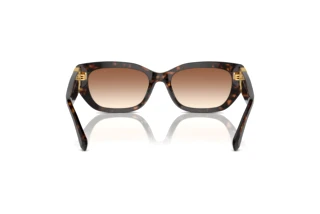 Vista posterior Ralph Lauren THE BRIDGET (RL8222 - 500313)