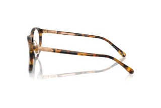 Vista lateral Ralph Lauren THE QUINCY (RL8223 - 5134BF)
