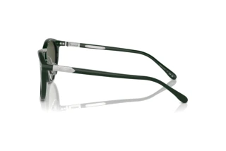 [glasses-side-view] Ralph Lauren THE QUINCY (RL8223 - 614031)