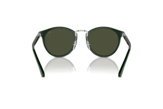 [glasses-back-view] Ralph Lauren THE QUINCY (RL8223 - 614031)