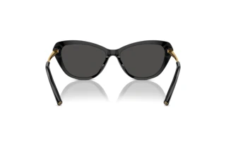 Vista posterior Ralph Lauren THE ELLA (RL8224U - 500187)