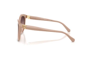 Vista lateral Ralph Lauren RL8225U (6218U8)