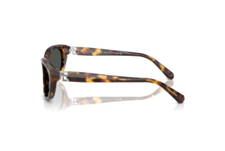 Vista lateral Ralph Lauren RL8226U (513487)