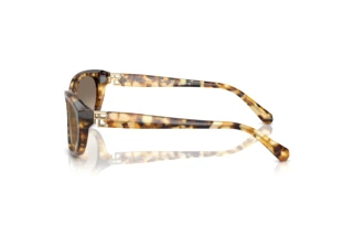 [glasses-side-view] Ralph Lauren RL8226U (60566Y)