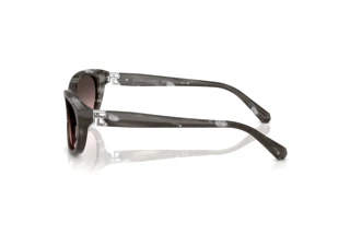 Vista lateral Ralph Lauren RL8226U (617546)