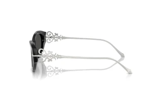 Vista lateral Ralph Lauren RL8227U (500187)