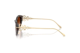 Vista lateral Ralph Lauren RL8227U (500374)