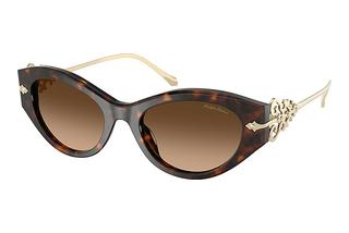 Ralph Lauren RL8227U 500374 Gradient BrownDark Havana