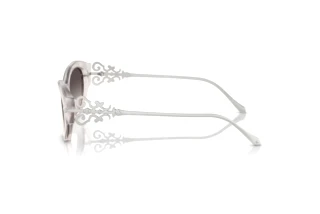 Πλευρική όψη Ralph Lauren RL8227U (611208)