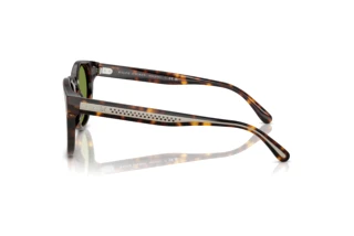 Vista lateral Ralph Lauren RL8229U (50034E)