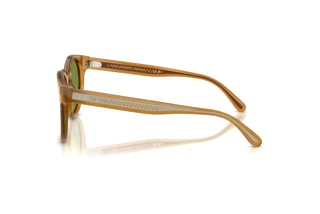 Vista lateral Ralph Lauren RL8229U (52754E)