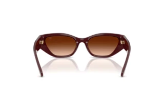 Vedere din spate Ralph Lauren RL8231U (551674)