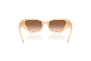 [glasses-back-view] Ralph Lauren RL8231U (624513)