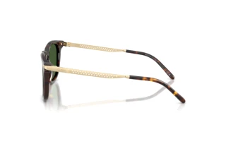 [glasses-side-view] Ralph Lauren RL8233U (500371)