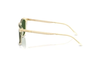 [glasses-side-view] Ralph Lauren RL8233U (503471)