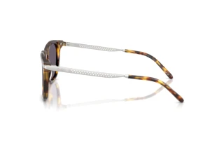 [glasses-side-view] Ralph Lauren RL8233U (51341A)