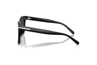 Vedere laterală Ralph Lauren RL8235U (500187)
