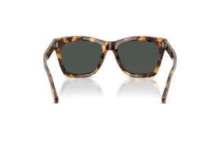 Vedere din spate Ralph Lauren RL8235U (617887)