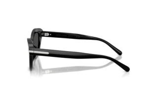 Vedere laterală Ralph Lauren RL8236U (500187)