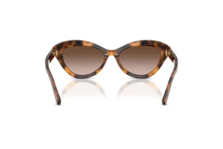 Vedere din spate Ralph Lauren RL8236U (608913)