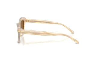 Vedere laterală Ralph Lauren RL8236U (617673)