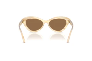 Vedere din spate Ralph Lauren RL8236U (617673)