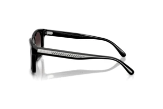 Vedere laterală Ralph Lauren RL8237U (50018G)