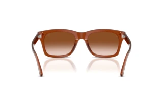 Vedere din spate Ralph Lauren RL8237U (630613)