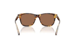 Vedere din spate Ralph Lauren RL8239U (513473)