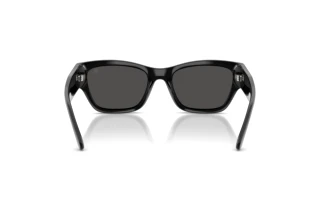 [glasses-back-view] Ralph Lauren RL8240U (500187)