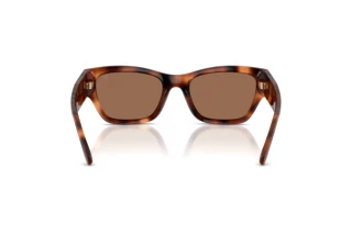 [glasses-back-view] Ralph Lauren RL8240U (635173)