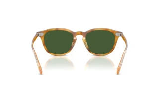 [glasses-back-view] Ralph Lauren RL8241U (618571)