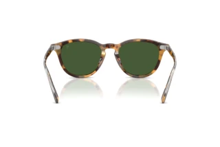 [glasses-back-view] Ralph Lauren RL8241U (633971)