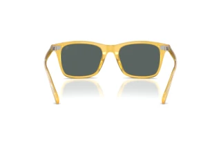 [glasses-back-view] Ralph Lauren RL8242U (50053R)