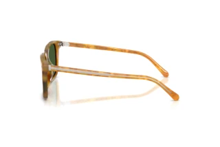 [glasses-side-view] Ralph Lauren RL8242U (618571)