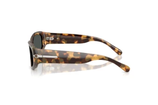 [glasses-side-view] Ralph Lauren RL8243U (617887)