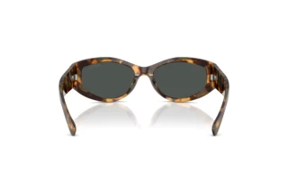 [glasses-back-view] Ralph Lauren RL8243U (617887)