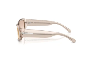 [glasses-side-view] Ralph Lauren RL8243U (63904E)