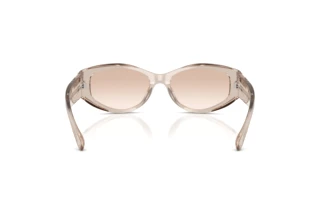[glasses-back-view] Ralph Lauren RL8243U (63904E)