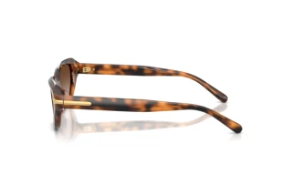 [glasses-side-view] Ralph Lauren RL8244U (608913)