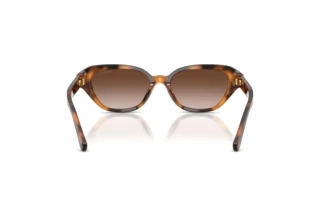 [glasses-back-view] Ralph Lauren RL8244U (608913)