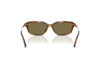 [glasses-back-view] Ralph Lauren RL8245U (608973)