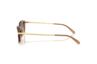 [glasses-side-view] Ralph Lauren RL8245U (637708)